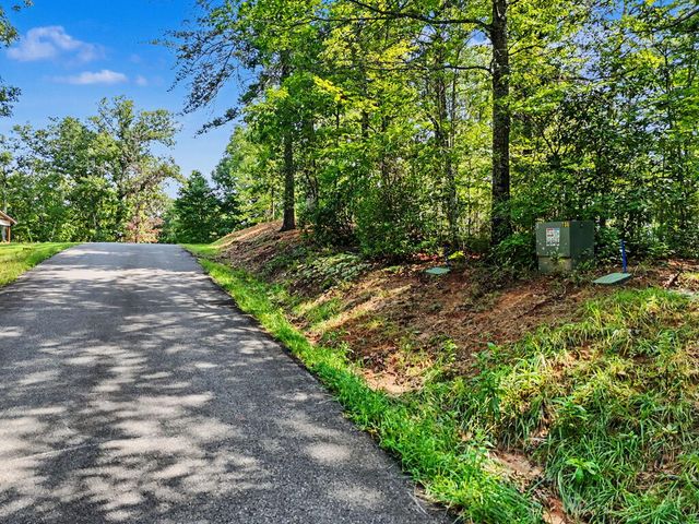 Lot 11 Brasstown Trails, Warne, NC 28909