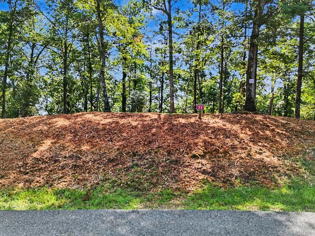 Lot 11 Brasstown Trails, Warne, NC 28909