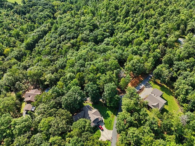 Lot 11 Brasstown Trails, Warne, NC 28909
