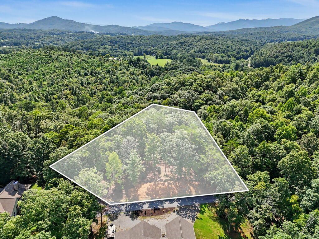 Lot 11 Brasstown Trails, Warne, NC 28909