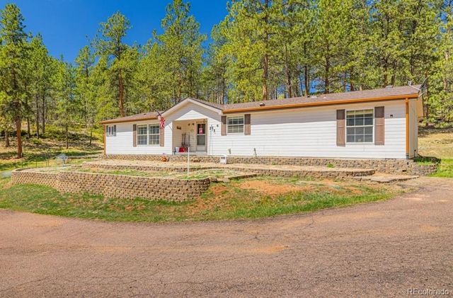 275 Mohave Creek Trail, Florissant, CO 80816