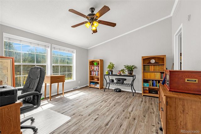 275 Mohave Creek Trail, Florissant, CO 80816