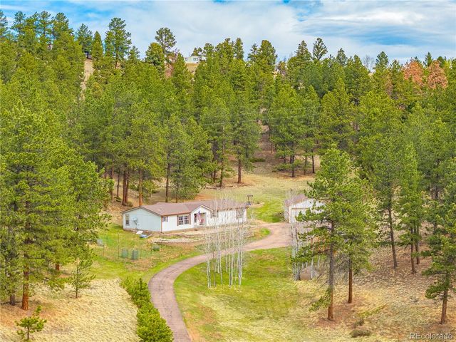 275 Mohave Creek Trail, Florissant, CO 80816