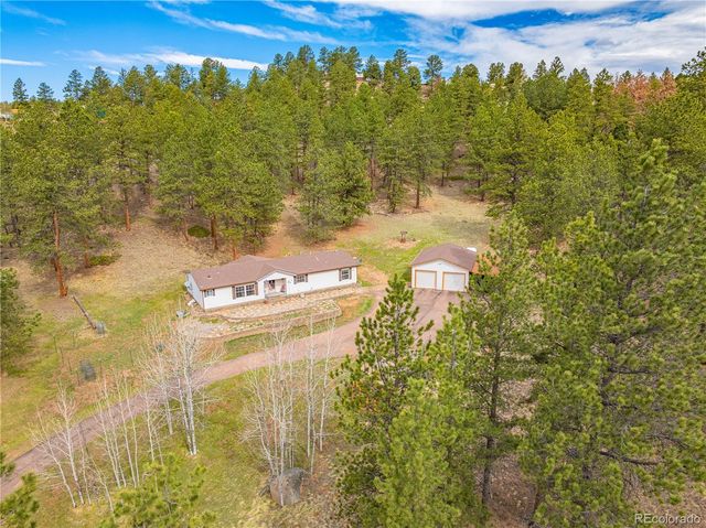 275 Mohave Creek Trail, Florissant, CO 80816