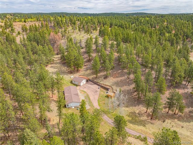 275 Mohave Creek Trail, Florissant, CO 80816