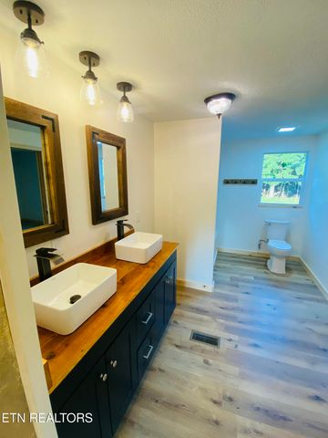 435 Stump Hollow Rd, Spring City, TN 37381