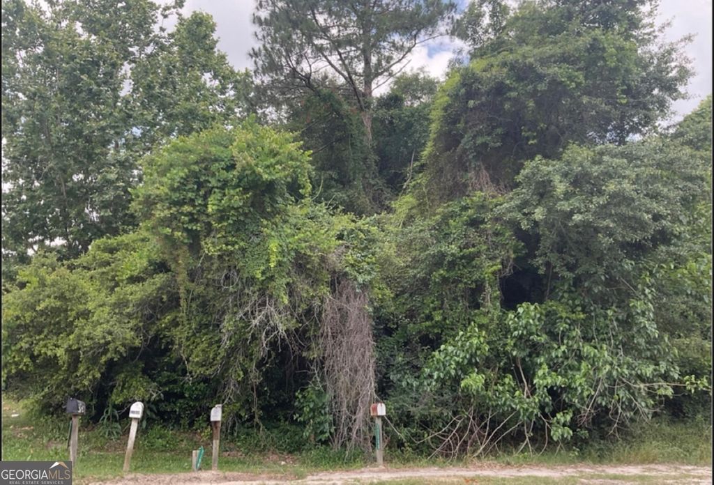 0 Ga Hwy 129, Claxton, GA 30417