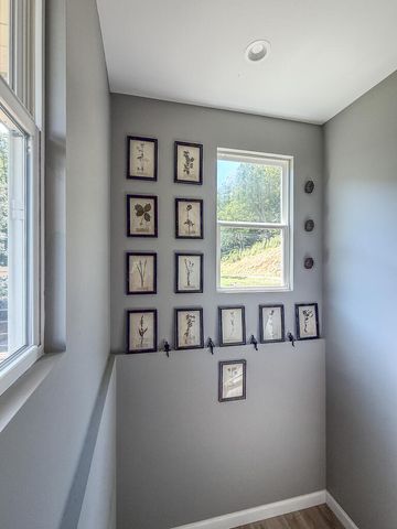 280 Wild Berry Lane, Hayesville, NC 28904