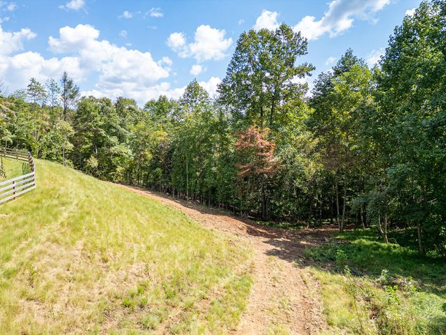 280 Wild Berry Lane, Hayesville, NC 28904