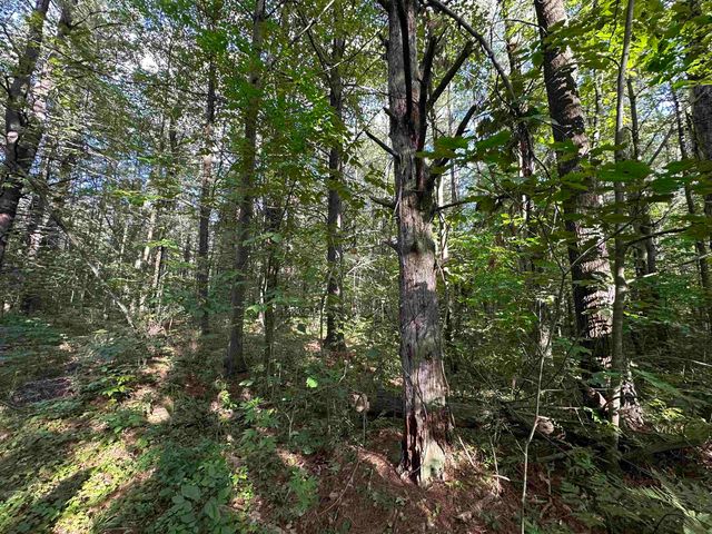 12 Acres M 30 Highway, Gladwin, MI 48624