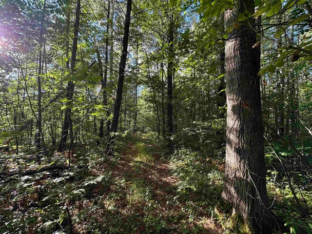 12 Acres M 30 Highway, Gladwin, MI 48624