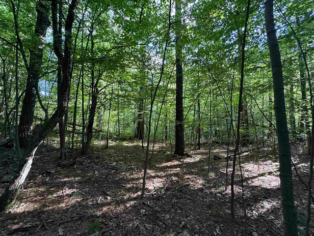 12 Acres M 30 Highway, Gladwin, MI 48624