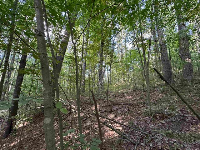 12 Acres M 30 Highway, Gladwin, MI 48624