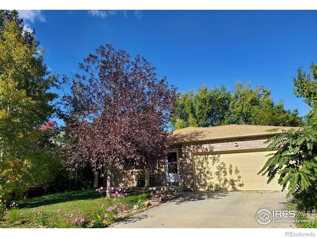 60 Lodgepole Drive, Windsor, CO 80550