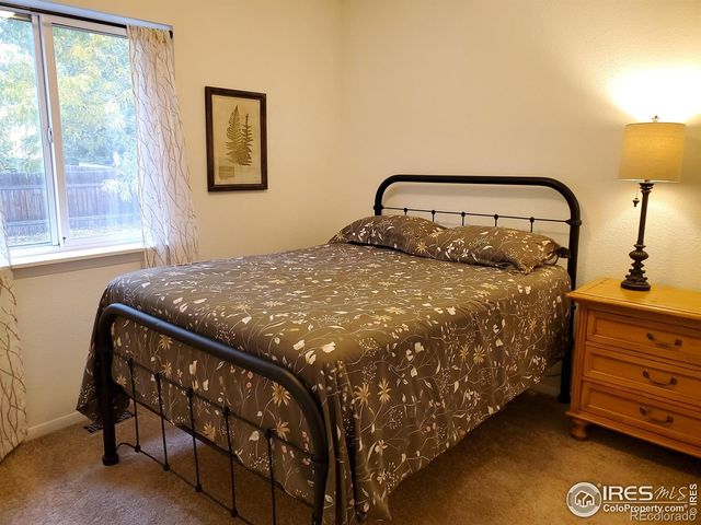 60 Lodgepole Drive, Windsor, CO 80550