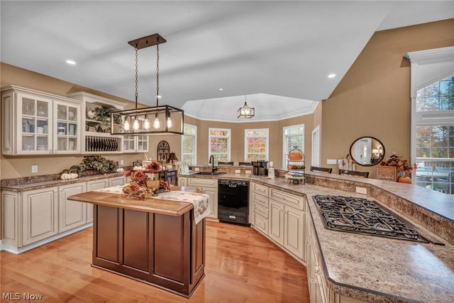 8933 Mountain View Drive, Mentor, OH 44060