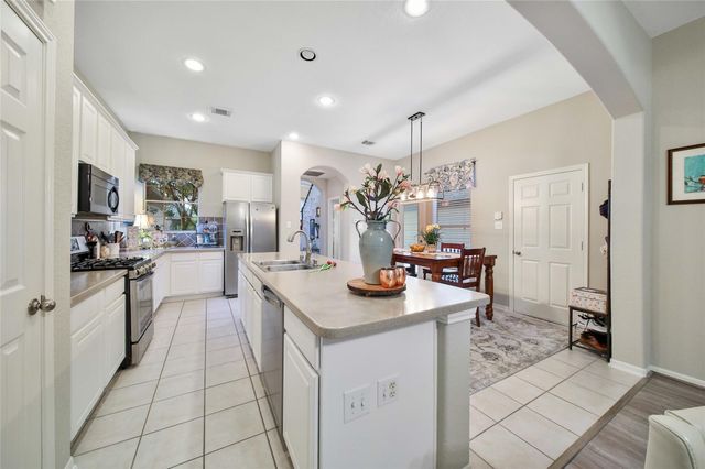 21619 Spring Vine Lane, Katy, TX 77450