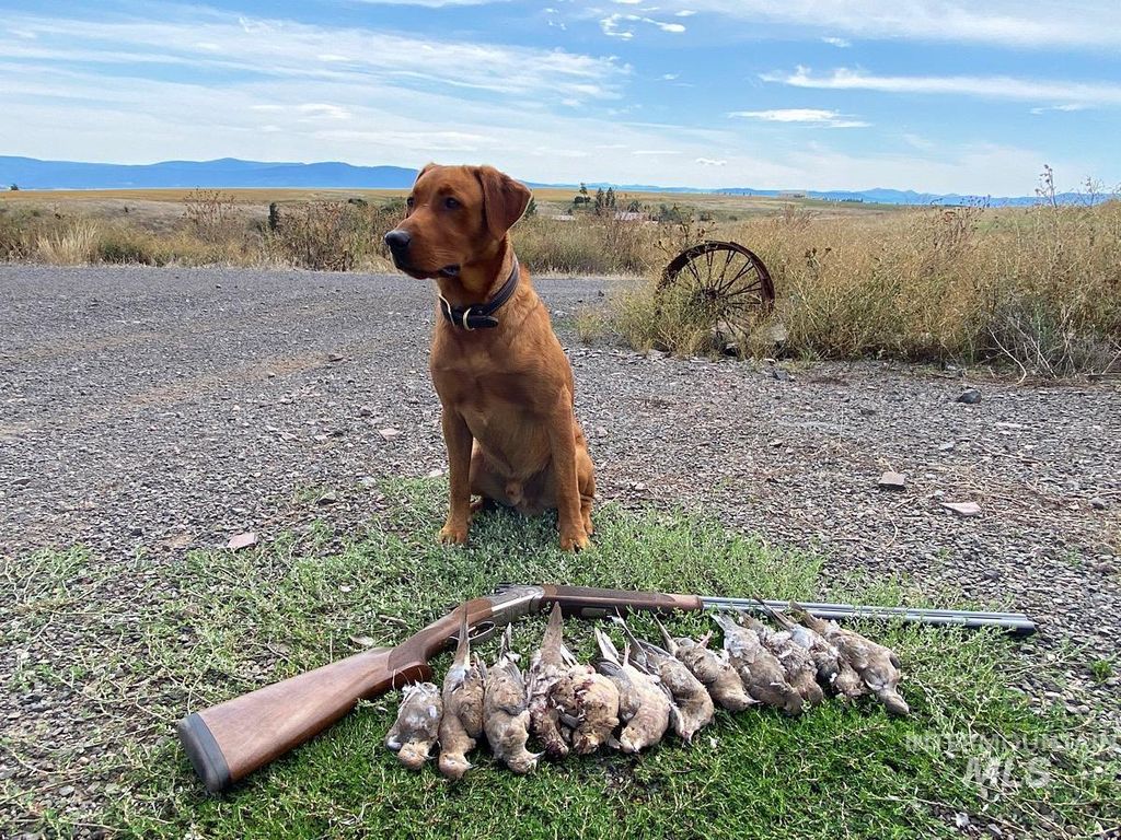 141 Scotlyn Ranch Rd., Kamiah, ID 83536 photo 21