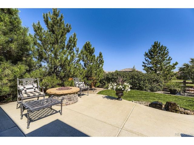 14101 Yellow Tip Dr, Parker, CO 80134