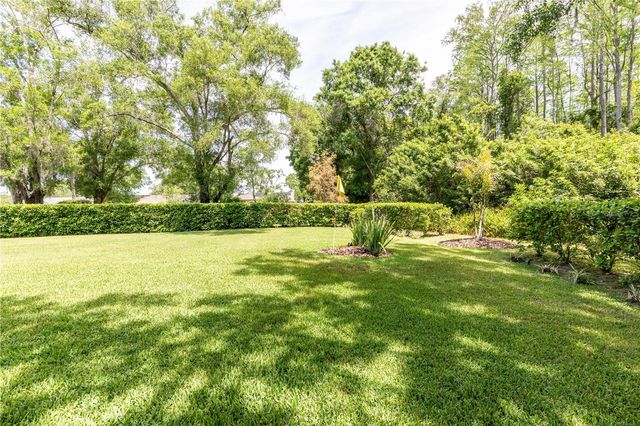 5801 BLACK WALNUT COURT, Tampa, FL 33625