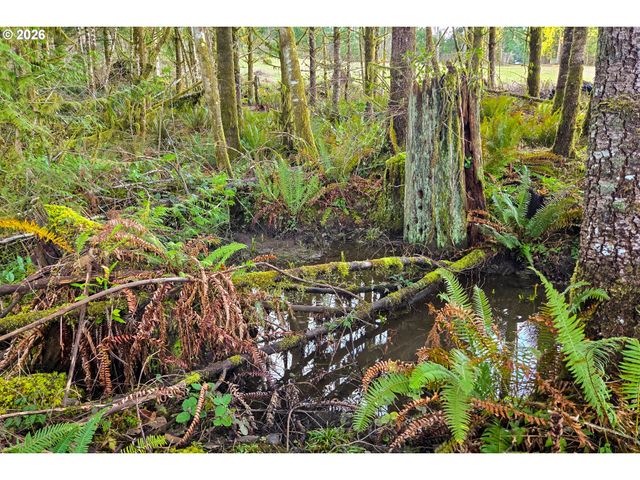 Silverwood Dr C2, Castle Rock, WA 98611