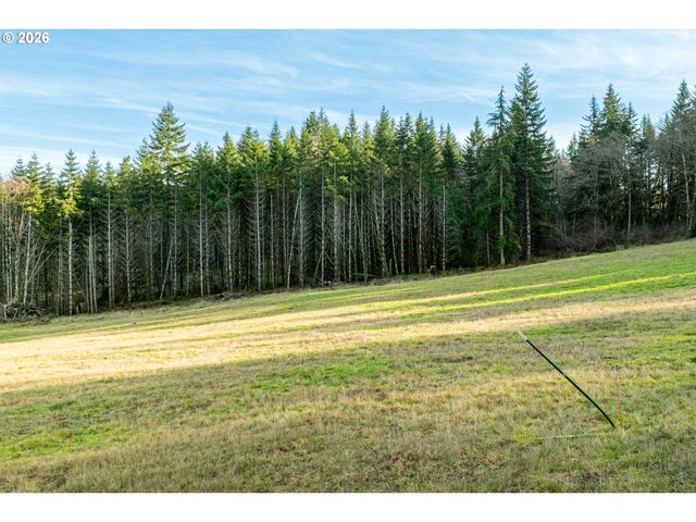 Silverwood Dr C2, Castle Rock, WA 98611