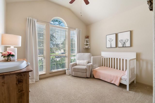 25315 Saddlebrook Ranch Drive, Tomball, TX 77375