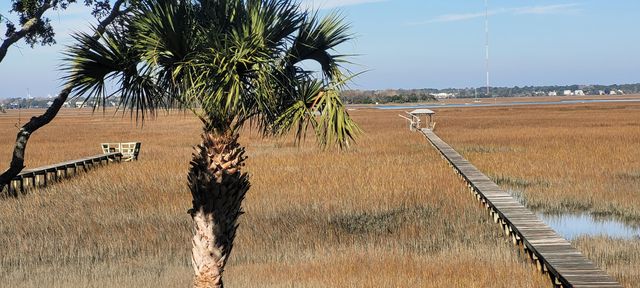 2720 Goldbug Avenue, Sullivans Island, SC 29482