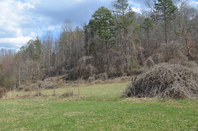 999-1640 Muncy Fork Road, Manchester, KY 40962