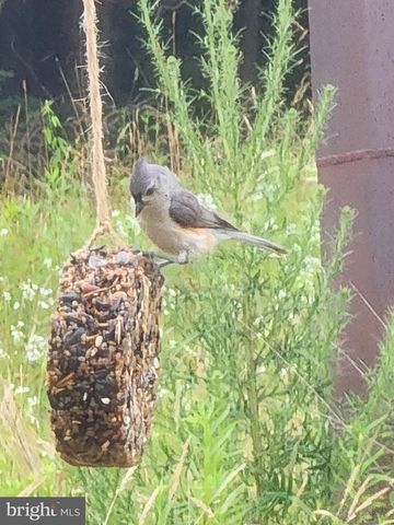 44 SCRUB PINE CT, Bunker Hill, WV 25413