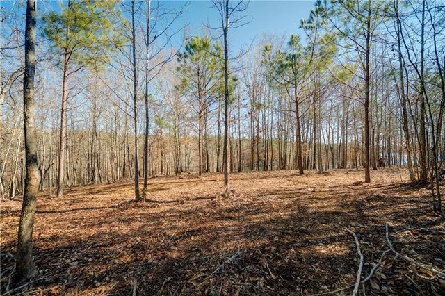 691 Moccasin Gap Road, Jackson, GA 30233