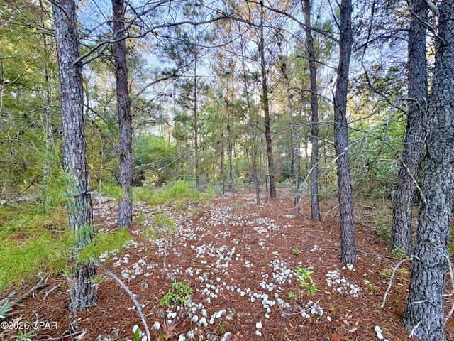 Lot 53 Yarmouth Avenue, Chipley, FL 32428