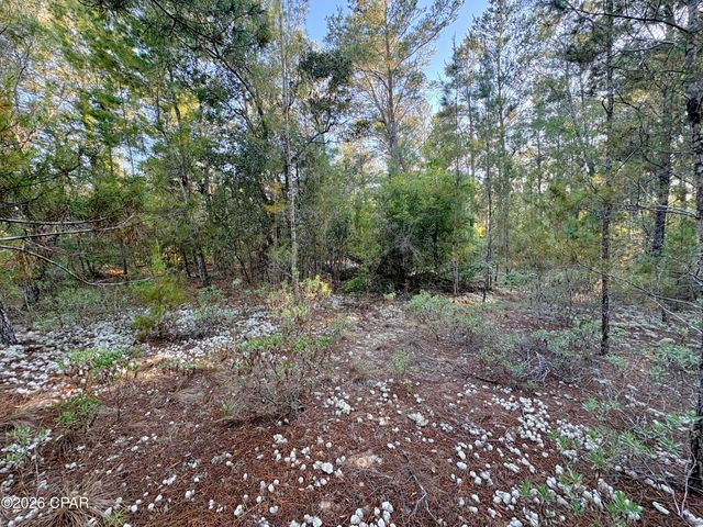 Lot 53 Yarmouth Avenue, Chipley, FL 32428