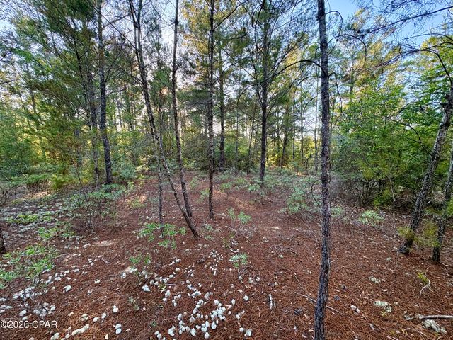Lot 53 Yarmouth Avenue, Chipley, FL 32428
