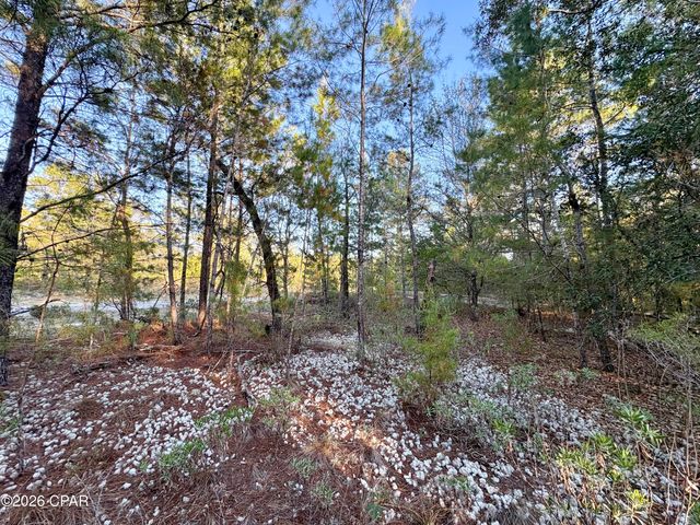 Lot 53 Yarmouth Avenue, Chipley, FL 32428