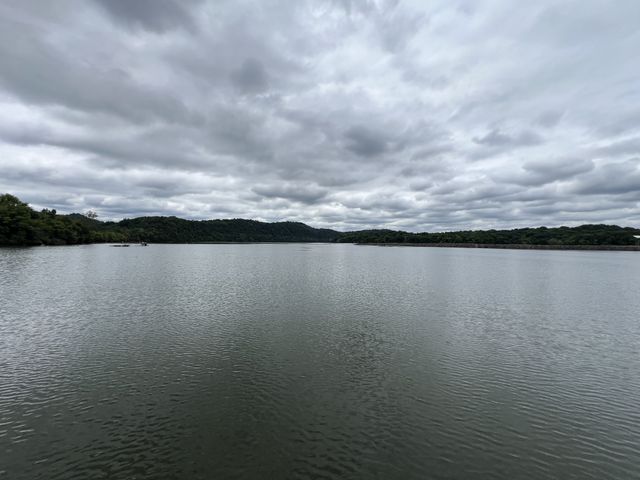 515 Big Branch Rd, Granville, TN 38564