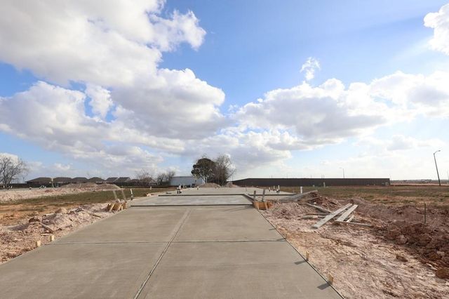 27239 Scarlet Paint Brush Drive, Hockley, TX 77447