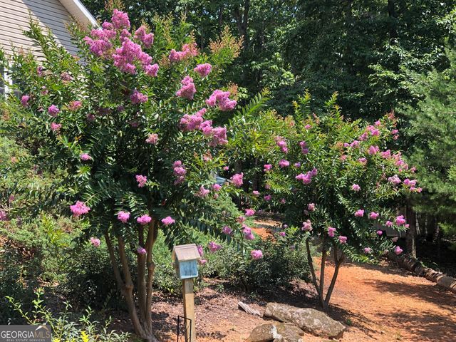 865 Laurel Ridge Road, Cleveland, GA 30528