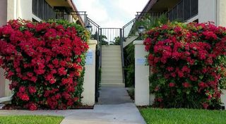 120 N M Street L, Lake Worth Beach, FL 33460