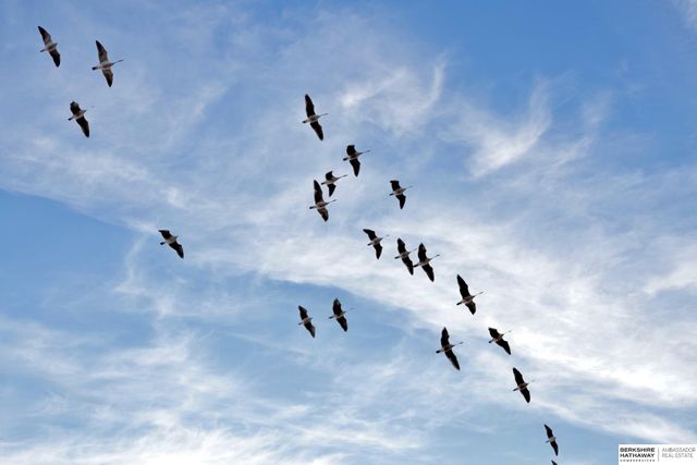 29 Redwood Lane, Yutan, NE 68073