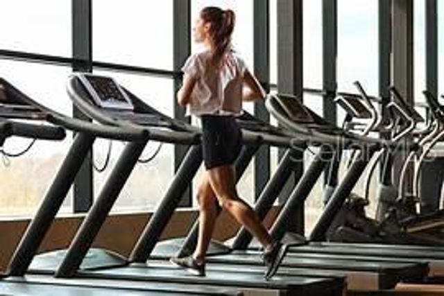 2407 GUN FLINT TRAIL, Palm Harbor, FL 34683