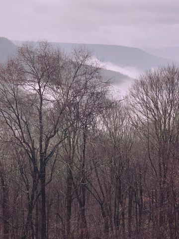 569 Haynes Rd, Sewanee, TN 37375
