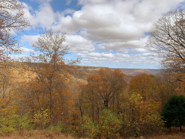569 Haynes Rd, Sewanee, TN 37375
