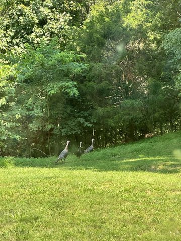 569 Haynes Rd, Sewanee, TN 37375