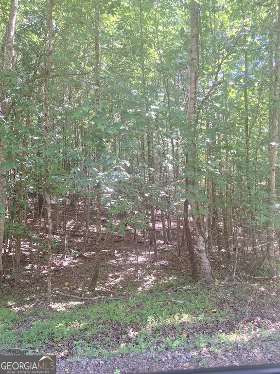 0 Judah Road, Morganton, GA 30560