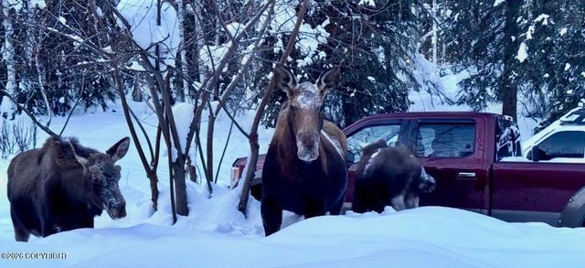 2451 Nugget Loop, Fairbanks, AK 99709