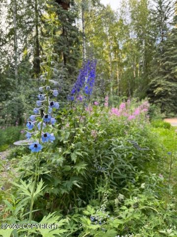 2451 Nugget Loop, Fairbanks, AK 99709