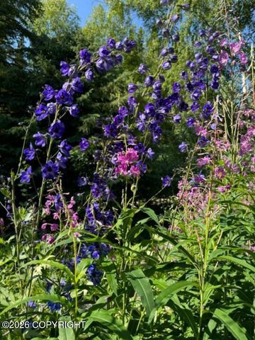 2451 Nugget Loop, Fairbanks, AK 99709