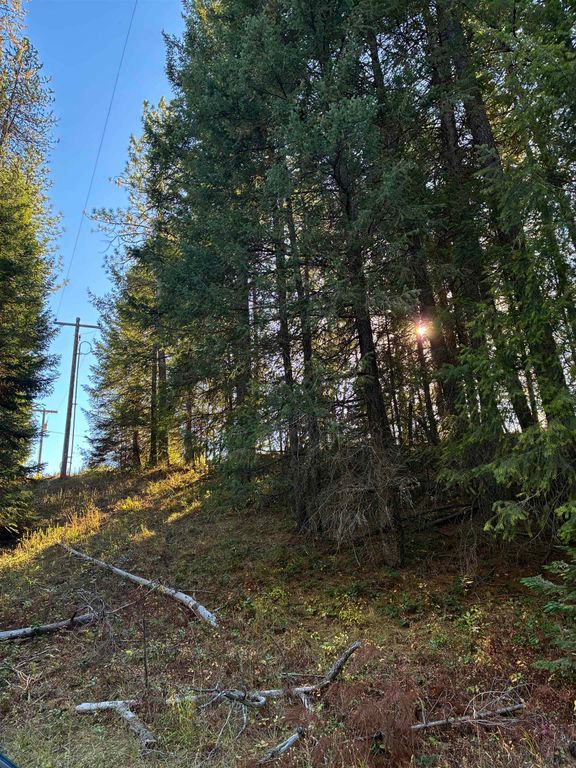 7611 Scotia Rd, Newport, WA 99156 photo 2