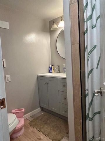 1104 Esperanza Road, Alamo, TX 78516
